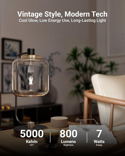 Sunco 40 Pack A15 Light Bulb LED, Edison Style Bulb, Dimmable Vintage Filament Lighting, 800 LM, 7W (60W Equivalent), 5000K Daylight, E26 Medium Base, Wet Rated UL.