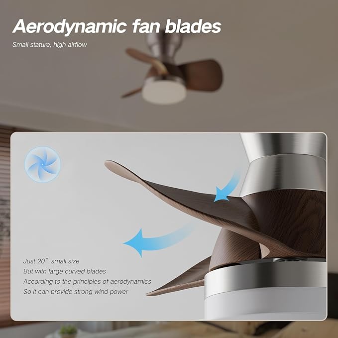 Myleoron 20 Inch Ceiling Fan with Light,3 Blades,Silver with Light with Remote Control Small Ceiling Fan , Suitable for Living Room, Dining Room,Bedroom