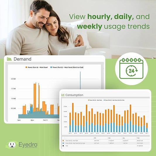 Eyedro Home Energy Monitor โ Real-Time Electricity Usage Monitor with Solar Net Metering โ Whole House Power Consumption Monitor โ WiFi/Ethernet Smart Energy Meter with Reports & History, 2 Sensors