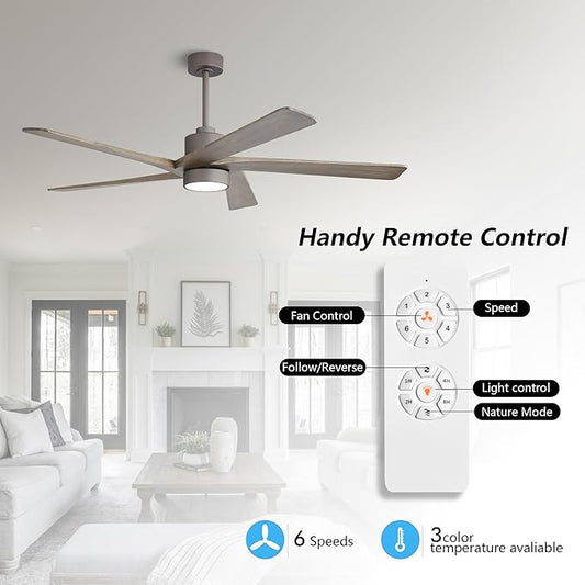 WINGBO 64 Inch DC Ceiling Fan with Lights and Remote Control, 5 Reversible Carved Wood Blades, 6-Speed Noiseless DC Motor, Modern Ceiling Fan in Graphite Finish with Gray Blades, ETL Listed