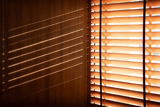 Modern Interior Design with Roller Blinds
