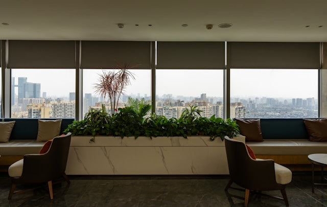 Smart Roller Blinds for Modern Homes