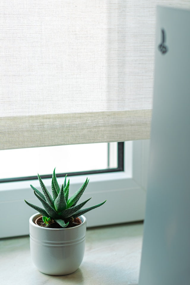 Electric Roller Shades Buying Guide