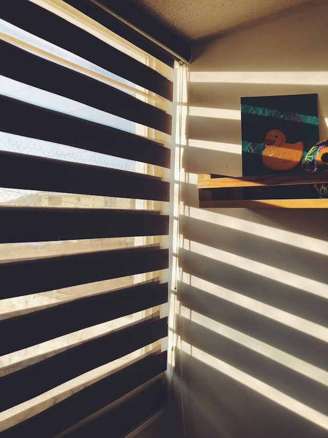Motorized Zebra Shades for Privacy and Light Control