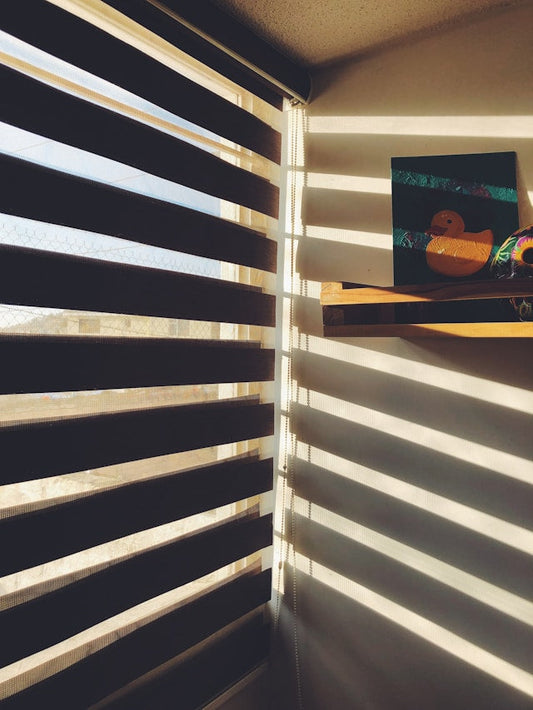 Motorized Zebra Shades for Privacy and Light Control