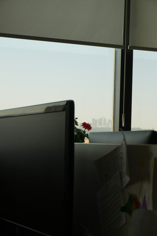 Smart Roller Shades for Offices and Workspaces