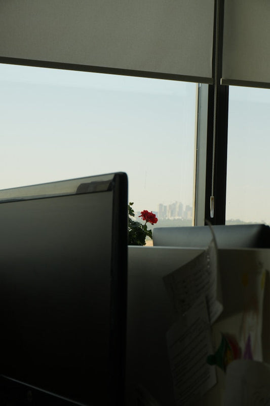 Smart Roller Shades for Offices and Workspaces