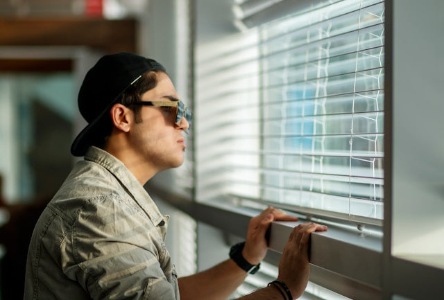 Complete Guide to Buying Motorized Window Shades