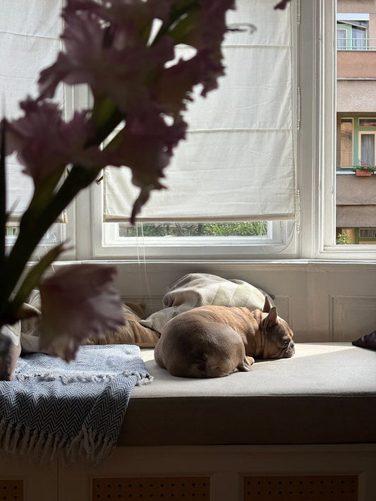 How to Care for Motorized Roman Blinds