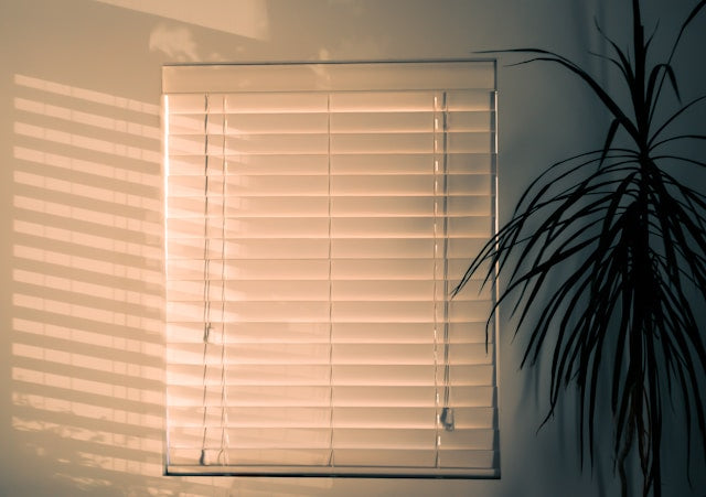 Complete Guide to Electric Window Shades