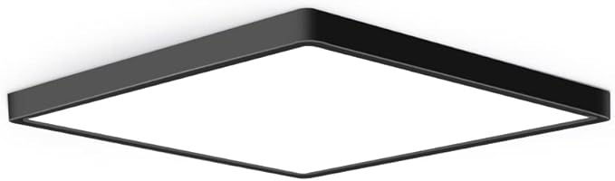 12inch 24W LED Flush Mount Ceiling Light, 6000K Square LED Ceiling Light, Black Flat Panel Lighting for Bedroom, Kitchen, Living Room