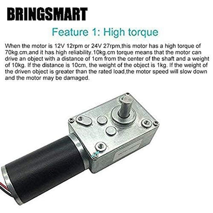 BRINGSMART 12V 16rpm DC Worm Gear Motor 70kg.cm High Torque Turbine Electric Gearbox Motor Self-Locking Reversed Mini Engine Geared Motor for DIY Robot Door Lock Curtain Machine (12V 16rpm)