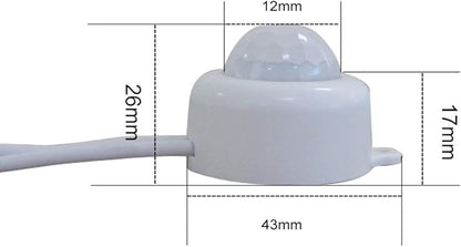 DC 6V 12V-24V 5A PIR Motion Activated Body Sensor Switch with DC Cable for LED Strip Light ((Roundness(with Light Sensor), White)