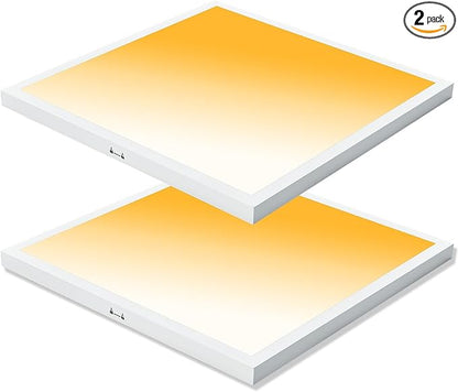 Mcacggo 2x2 LED Flat Panel Light Surface Mount, 40W-30W-20W & 3000K-4000K-5000K Selectable, 0-10V Dimmable, 24 Inch Square Flush Mount Ceiling Fixture for Kitchen, Shop, 100-277V, ETL, 2 Pack
