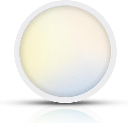 TOPELER 9inch Flush Mount Ceiling Light, Dimmable Ultra-Thin LED Ceiling Light 24W 2000Lm, 5CCT Selectable (2700K-6000K) Super Bright Lighting Fixture for Kitchen, Porch, Hallway, Stairwells