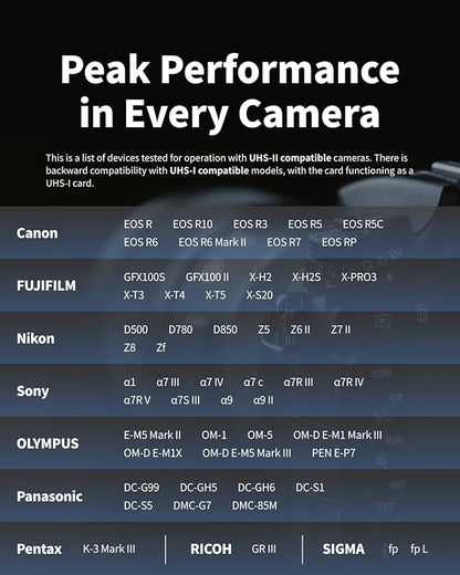 Nextorage 256GB SDXC UHS-II V90 SD Card Japanese Brand pSLC Max. Write Speed 299MB/s Max. Read Speed 300MB/s 4K Recording F2PRO Series NX-F2PRO256G SDXC Card for Digital Camera