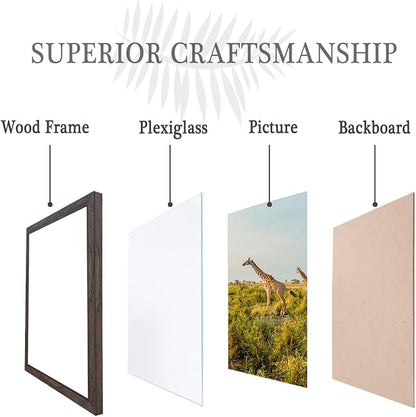 TKYGU 10x10 Picture Frame Set of 3, walnut Wooden Frame 10 by 10 Square Wall Gallery Poster Photo frame with Durable Shatter Resistant Plexiglass for Wall Hanging best gift
