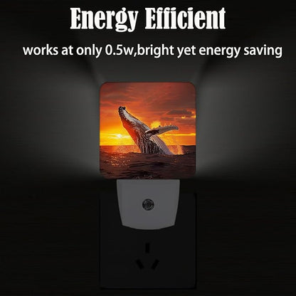 FSHVQKD Sunset Humpback Whale Night Light,Plug Into Wall for Boys Girls Bedroom Decorative Square Night Light Lamp 0.5w Sleep Friendly