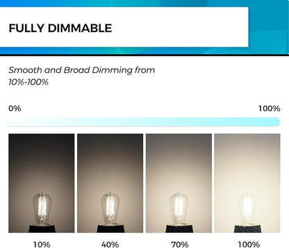 Hizashi Vintage LED Edison Bulb Dimmable, 6W Equivalent 60W, 4000k Neutral White, E26 Base Led Light Bulbs, 700LM, High CRI 95+ Eye Protection, Clear Glass, Pack of 12