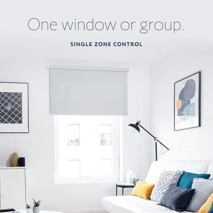 Somfy Situo 1800128 RTS The New Telis 1 Remote Control - Replacing 1810633 Home Automation Blinds and Shades System Kits