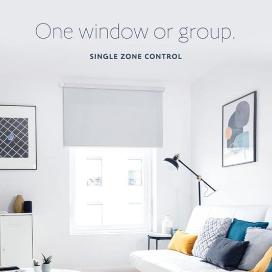 Somfy Situo 1800128 RTS The New Telis 1 Remote Control - Replacing 1810633 Home Automation Blinds and Shades System Kits