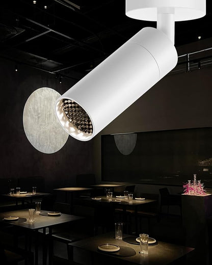 Gpaillumic Led Modern Directional Spotlight, Zoomable Monopoint Ceiling Spot Light for Indoor Cafeteria Foyer Living Room Warm White