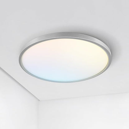 ASD LED 12" Round Flush Mount Ceiling Light Fixture, Low Profile Surface Lighting | 5CCT, Dimmable, Ultra-Thin, ETL Listed | 24W 1900LM 2700-6000K 120V | Kitchen, Bedroom, Hallway Lamp | Nickel