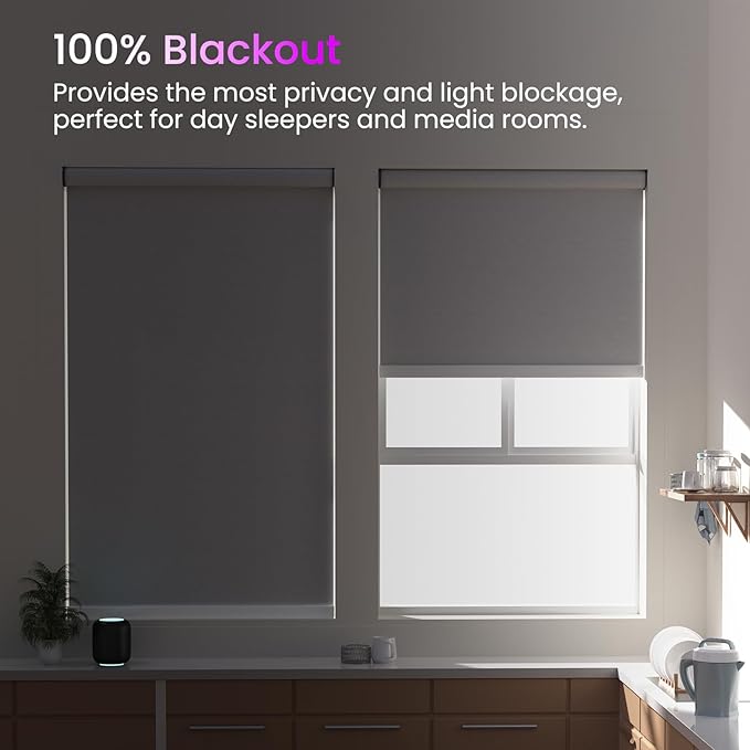 Astomi Motorized Roller Shades for Windows, Blackout Automatic Blinds with Remote, Smart Blinds, Voice Control, Compatible with Alexa, Google, Custom Size, Linen Beige