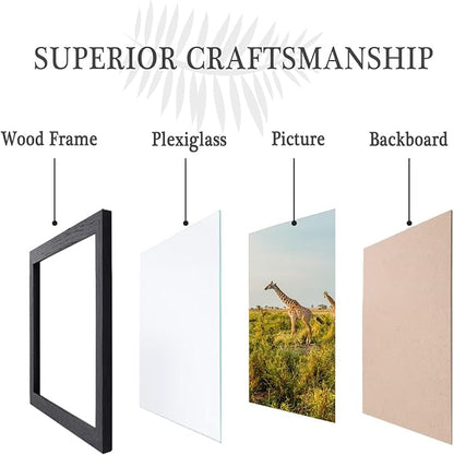 TKYGU 13x17 Picture Frame Set of 3, Wooden Frame Black for 13 x 17 Inch Picture Poster Photo with Durable Shatter Resistant Plexiglass,Wall Gallery Poster Photo frame 13 by 17 Frame for Wall best gift