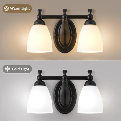 EJIAXIN 2 Lights Bathroom Vanity Light, Black Bath Vanity Light Modern Bathroom Vanity Lights Vintage Style for Living Room Cabinet Bedroom About Mirror