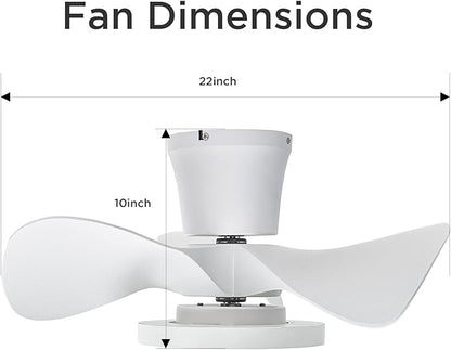 ocioc Quiet Ceiling Fan with LED Light 22 inch Large Air Volume Remote Control for Kitchen Bedroom Dining Room Patio