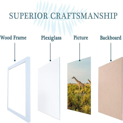 TKYGU 11x15 Picture Frame Set of 3,Wooden Frame 15x11 Wall Gallery Poster Photo frame white with Durable Shatter Resistant Plexiglass for Wall Mounting Family -friend- wedding best gift