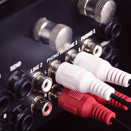 Sjorks RCA Cable 75ft,2RCA Male to 2RCA Male,Audio Stereo Subwoofer Cable [Hi-Fi Sound] Auxiliary Audio Cord for Home Theater, HDTV, Amplifiers, Hi-Fi Systems,Speakers and etc