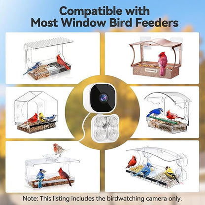 Dzees Window Bird Camera with Strong Suction Cups, 2K HD WiFi Bird Feeder Camera with AI Bird Recognition, Live Streaming, Two-Way Audio, Cloud & SD Storage, Perfect for Bird Lovers and Educators