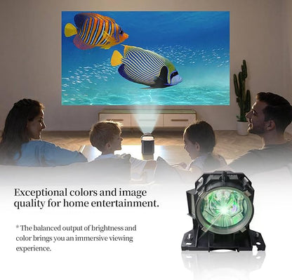 SORNEICDR DT00873/SP LAMP-046 Replacement Projector Lamp Bulb Compatible with Hitachi CP-SX635 CP-WUX645 CP-WUX645N CP-WX625 CP-WX625W CP-WX645 CP-X809 INFOCUS IN5104 IN5108 IN5110 Projectors