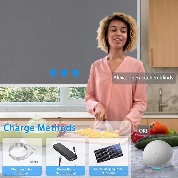 COOLWINDS Motorized Blinds with Remote Cordless Automatic Motorized Shades Custom Blinds for Windows Smart Curtains Compatible with Alexa Google Home(Blackout Thunder Grey,W25 x H72in)