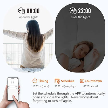 DieseRC 2 Channels WiFi Smart Switch, AC 90V-250V 220V Passive Output Relay Module Ewelink APP WiFi Control Compatible with Alexa/Google Home, Inching/Self-Locking Switch
