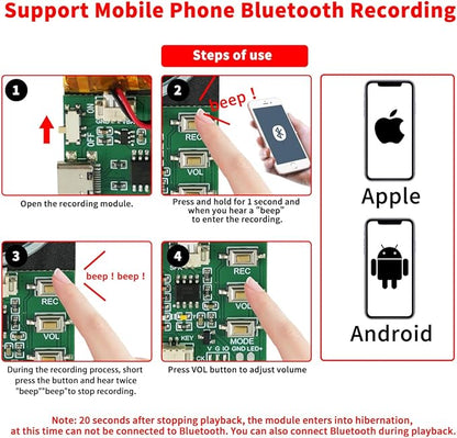 Sound Module, Support Bluetooth & MIC Recording Audio, 8MB Voice Chips with Speaker,8 Min Easy Sound Recording Chip for Personalized Greetings, DIY Projects, Holiday Crafts ect.