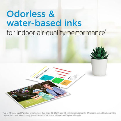 HP 65 Black Ink Cartridge | Works with HP AMP 100 Series, HP DeskJet 2600, 3700 Series, HP ENVY 5000 Series | Eligible for Instant Ink | N9K02AN (Pack of 2)