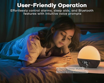 MOMILLA Sunrise Alarm Clock with Bluetooth Speaker, Alarm Clocks for Kids Adults, Dimmable Clock for Bedroom,Wake up Light Night Lights Sunset Lamp, White Noise Sound Machine for Sleep