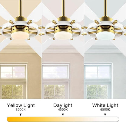 ELEHINSER 80 Inch Ceiling Fan with Lights and 3 Downrods, 8 Plywood Blades, 6-Speed Noiseless Reversible DC Motor, 3CCT, Windmill Ceiling fan for Kitchen Bedroom Living Room, Brass and White