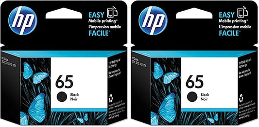 HP 65 Black Ink Cartridge | Works with HP AMP 100 Series, HP DeskJet 2600, 3700 Series, HP ENVY 5000 Series | Eligible for Instant Ink | N9K02AN (Pack of 2)