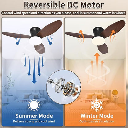 Glowall Small Ceiling Fan with Lights and Remote, 32" Flush Mount, Small Quiet, DC Motor, Reversible Blades, 6 Wind Speeds, Dimmable LED, Adjustable Color Temperature, Timer