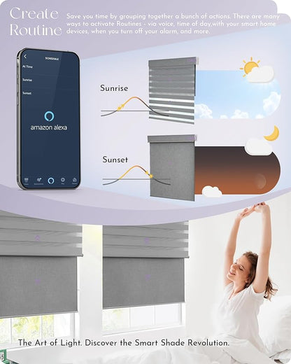 Graywind Smart Dual Shades Compatible with Alexa Google Homepod Motorized Double Zebra Blinds Matter Solar Powered, Custom Size (Light Grey)