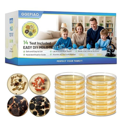 Mold Test Kit for Home,14 Simple Detection Tests,Test HVAC System,Home Surfaces, Indoor Air Quality Testing,DIY Mold Detector,Includes Detailed Mold Identification Guide,Black Mold Testing kit