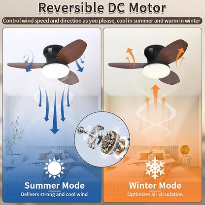 Glowall Small Ceiling Fan with Lights and Remote, 25 Inch Flush Mount, Reversible Quiet DC Motor, 3 Blades, 6 Wind Speeds, Dimmable LED, Adjustable Color Temperature, Timer