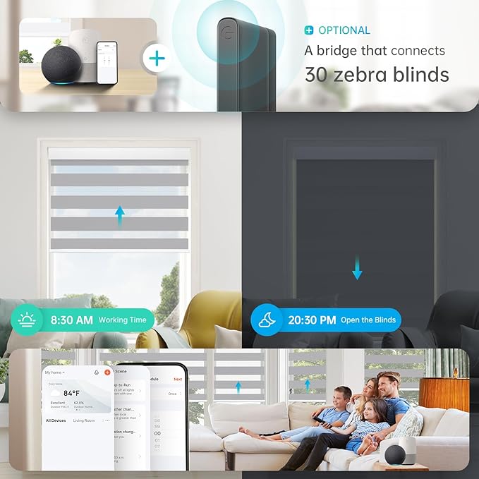 DENFOON Motorized Zebra Blinds, Solar Powered Dual Layer Automatic Shades with Remote Control, Rechargeable Smart Blinds Horizontal Wireless Electric Shades for Windows, Custom Size, Gray， 35 x 72