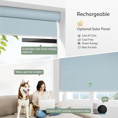 ZSHINE Motorized Blackout Window Blinds Customize Width Remote Control Rechargeable Motor Roller Shades for Windows, Home, Office, Hotel, Club, Restaurant(82026G)