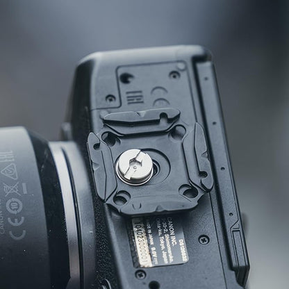 FALCAM F38 Quick Release Kit V2, Quick Release System, Base and Plate with 1/4" and 3/8" Screw Thread for Tripod, Monopod, Stabilizer, Slider - F38B3404