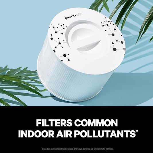 PuroAir 240 Replacement Filter - HEPA Filters up to 99.9% of Smoke, Pollen, Dust and Common Household Pollutants - HEPA Air Filter Replacement for PuroAir 240 Air Purifier (4 Pack)